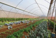 Weekly Weather Outlook Augest 2023 (3)