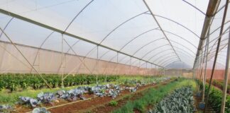 Weekly Weather Outlook Augest 2023 (3)